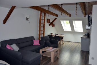 Apartmány, Trhové Sviny, Apartmány u Halešů